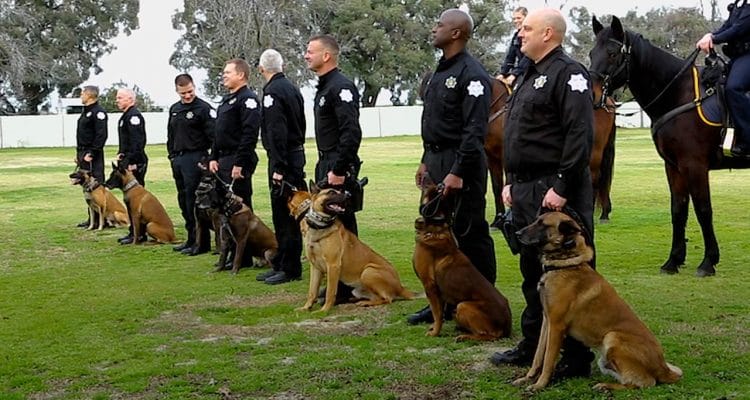 k9 handler overtime